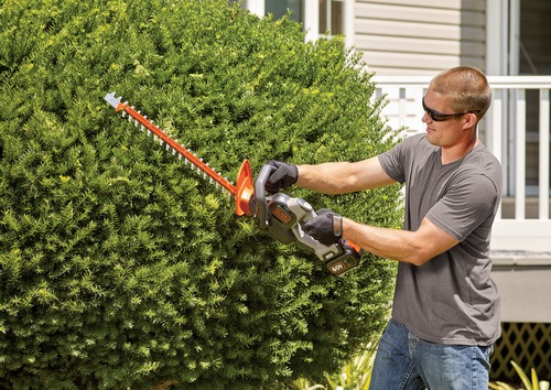 Black and Decker - 60V MAX POWERCUT 24 in Cordless Hedge Trimmer - LHT360C