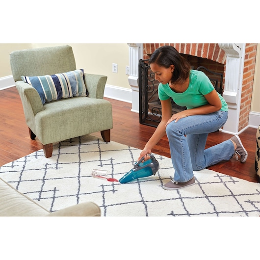 dustbuster® Cordless Wet/Dry Hand Vacuum